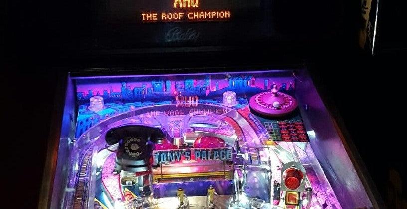 Who Dunnit Pinball LED Strip 15" Backboard Light Kit